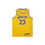 Nike NBA noorte Los Angeles Lakers LeBron 23 vabaaja spordidress lastele kollane 3Z2B7BZ2P-LAKJL XL
