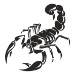3D Scorpion autokleebised Automaatselt kujundav vin&uuml;&uuml;lkleebism&auml;rk Isekleepuv kapuuts, must/valge 20x12cm lihtne valge