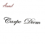 Moetr&uuml;kk Kirja Carpe Diem peegeldava pinnaga veekindlad kleebised 58CM must