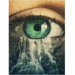 5D loomad Teemantmaal T&auml;ispuuritud ruudukujuline &uuml;mmargune DIY Teemanttikandid Panda Mosaiik Rhinestones Pilt Kodukaunistus Full Round 20X30CM punane