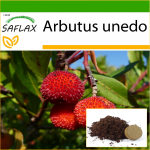 SAFLAX - Maasikapuu - 50 seemet - Potisubstraadiga paremaks kasvatamiseks - Arbutus unedo