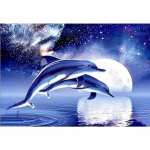 3D-teemanttikandid ristpistes &uuml;mmarguse kivimaaling delfiiniga Full Round 20x25CM