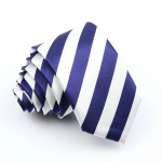 Meeste lips, vabaaja lips, kitsas &otilde;huke, ruuduline triibuline, siidist kikilips, lipsud, pulmapidu, lips, kingitus 15