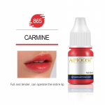 Tattoo Ink Nano Pigment Piimjas V&auml;rvid Poolp&uuml;simeigi komplektid Toon Kulmude Silmapliiats Huuled Ilu 3 ml Microblading Pigments 865 Carmine