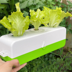 Iseimav vett, mullata istutuspott DIY h&uuml;dropoonika komplekt, kompaktne lauaplaadi bonsai kaunistus