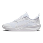 Nike Omni Multi-Court GS Valge Puhta plaatinaga Laste tossud DM9027-100 37.5 white