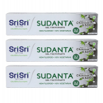 Sri Sri TATTVA Sudanta Ayurveda Taimne Geel Hambahari SLS Vaba Fluoriidivaba S&uuml;si Sool 100 g Pakk 3tk V&auml;rske Hinge&otilde;hk