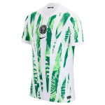 Nike Nigeeria 2025 staadioni v&otilde;&otilde;rsil (Naiste v&otilde;istkond) Meeste Nike Dri-FIT jalgpalli repliiks&auml;rk HM9660-100 2XL white