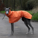 Veekindel koeravihmamantel Suur suurus Luksuslik Whippet Greyhound Koeravihmamantlid Jakk Dobermann Pinscheri vihmamantel V&auml;ljas jalutamiseks XXL oranž