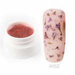 ROSALIND 5 ml DIY naturaalne kuivatatud lillede haldjas geelk&uuml;&uuml;nelakk lilledega leotada manik&uuml;&uuml;r UV LED geel