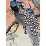 DIY teemantmaal T&auml;ispuurimine Paabulinnu Pildihelmed Teemanttikandid Loomade kivimaaling 20X30CM