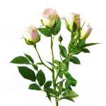 &Otilde;itsev kimp Kunstlilledega roosiaed DIY Lavapidu Pulmad P&uuml;had K&auml;sit&ouml;&ouml;kaunistus heleroosa v&auml;rv