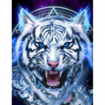 5D DIY teemantmaaling t&uuml;drukule ja liblikale t&auml;is&uuml;mmarguse tikandiga kivist pilt Teemantmosaiik Kodukaunistuse kingitus 20X30CM