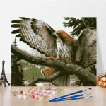 L&otilde;uend Kodukaunistus Digitaalne &otilde;limaal Numbrid &Otilde;limaal DIY Maali numbrite j&auml;rgi Kunst 40x50cm no frame