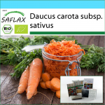 SAFLAX - Kinkekomplekt - Orgaaniline - Porgand - S&uuml;giskuningas - 1000 seemet - Kinkekarbi, kaardi, etiketi ja potisubstraadiga - Daucus carota