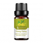 10 ml Ylang Ylangi eeterlik &otilde;li Botaaniline aroomiteraapia poore ahendav, nahka niisutav rahustav massaaži&otilde;li 10ml Ylang