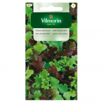 Segu lehtsalatitest, seemnetest 0,5g - VILMORIN