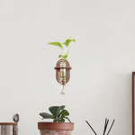 Vase, Wall Hanging, Wooden Shelf, Easy to Install, Cutting Holder, Plant Container, Test Tube, Oval Rack