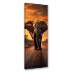 L&otilde;uenditr&uuml;kk, Aafrika elevandi safaril 30x90 oranž