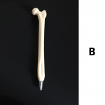 1 tk Luupliiats Creative Skeleton 0,7mm kuulipuu sinine v&auml;rvi tint kirjatarvete kinke koolitarbed