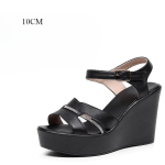 Ehtne Nahk Kivist Naiste Kontsaga Suvekingad Naiste Kiilkontsaga Kleit Naise Sandaalid Platvorm Suurus 33-43 6CM 8CM 10CM 12CM 38 black
