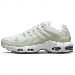 Nike Air Max Terrascape Plus Valged Puhta Platinumiga Tennised Vabaajajalatsid DQ3977-100 40.5