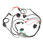Universaalne Juhtmestik Pistikupesa Solenoidpool M&otilde;ni Alaldi Cdi 50 70 90 110 125Cc Atv Quad Bike