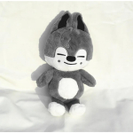 60cm Skzoo Palus Karu Suur Suurus Kpop Stray Kids Palus Nukud M&auml;nguasjad Kawaii Multikas T&auml;idisloom Visnapadi Lapsed J&otilde;ulud 50cm gray