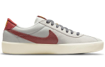 Nike Sb Bruin React Hall Team Red CJ1661-003 36.5 gray