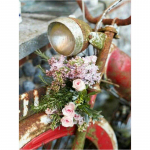 5D teemanttikandid punane mootorratta ja lilledega isetehtud teemantmaaling ristpistes 20X30CM