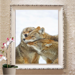 5d Teemantmaal Tikand Rhinestones Teemant Teemant Kunst Seinakunst Decor Full Round 20X30CM