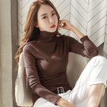 Naiste top &uuml;hev&auml;rvilised pikkade varrukatega aluskihilised s&auml;rgid S&uuml;gisriietus kilpkonnaga &uuml;lemine Slim Fit vabaaja T-s&auml;rk 2XL