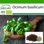 SAFLAX - Orgaaniline - Genovese basiilik - 800 seemet - Potisubstraadiga paremaks kasvatamiseks - Ocimum basilicum