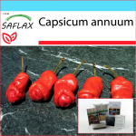 SAFLAX - Kingikomplekt - T&scaron;illi - Peter Peppers Penis Chili - 10 seemet - Koos kinkekarbi, kaardi, etiketi ja potisubstraadiga - Capsicum annuum