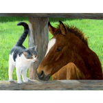 Teemantkunst maalimine Loomade kasside pildid kividest Teemanttikandite m&uuml;&uuml;k Hobuse t&auml;ismosaiikkaunistused koju Full Round 20x25CM