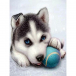 5D DIY loomad Teemantmaaling Husky pildid T&auml;ielik teemanttikandid Rhinestone mosaiik ristpistes komplekt M&ouml;&ouml;bli kaunistus Full Round 20x30CM