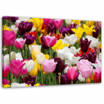 L&otilde;uendiprint Colorful Tulips Meadow Flowers 60x40 mitmev&auml;rviline