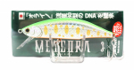 Jackson Meteora 80 uppuv lant SLY (4192)
