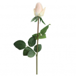 V&otilde;ltsroosilill, kastmata kaunistus, pleekimist takistav loominguline &uuml;hekordne v&otilde;ltsroosi&otilde;ie pungade kimp kodukaunistusega