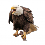 Lindude peletavad &ouml;&ouml;kulli kaunistused, tuuleveski t&uuml;&uuml;pi, k&auml;sitsi p&ouml;&ouml;ratava labapeaga, 360 kraadi p&ouml;&ouml;rlev &ouml;&ouml;kull, r&otilde;du lindude peletamise kaunistused L