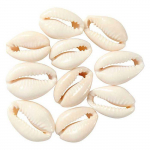 Coquilles de cha&icirc;ne - Creotime - 2 cm - Plastique - 12 pi&egrave;ces - Unisexe
