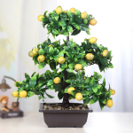 Kunstlik bonsai simulatsioon roheliste taimede plastist puuviljade lillede elutoa t&ouml;&ouml;laua simulatsioon Large jujube black