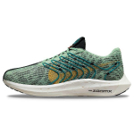 Nike Pegasus Turbo Next Nature 5 Borough Tour Meeste Tossud Roheline Emailroheline Must DZ4850-300 39
