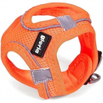 Harnais pour Chien - GLORIA - Trek Star - R&eacute;glable - Orange - Taille L (33,4-35 cm) oranž
