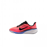 Nike Pegasus 42 Hingav V&otilde;rkjas Madalad Jooksukingad Naistele IH2306-614 36