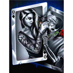 T&auml;ielik 5D-tehtud teemantmaal maagiline m&uuml;ts naisele tikandid ristpistes kodukaunistus k&auml;sitsi valmistatud kingitus 20X25CM