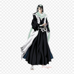 Kuchiki Byakuya Byakuya Kuchiki Rukia Kuchiki Anime Lron plaastrid riietele kott Ts&auml;rk soojus&uuml;lekande kleebised triibud aplikatsioonid