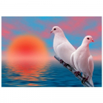 5D DIY Teemantmaaling Kaks valget tuvi Ristpistete komplekt Mosaiik Teemanttikandid Roos T&auml;is&uuml;mmargune/ruudukujuline puur Kodukaunistus Round 20x30cm