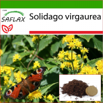 SAFLAX - Goldenrod - 100 seemet - Potisubstraadiga paremaks kasvatamiseks - Solidago virgaurea