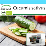 SAFLAX - Kingikomplekt - Orgaaniline - Kurk - Marketmore - 20 seemet - Koos kinkekarbi, kaardi, etiketi ja potisubstraadiga - Cucumis sativus